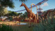 Игра Planet Zoo: Console Edition [PS5, английская версия] в Стерлитамаке