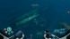Игра Subnautica: Below Zero [PS5, русские субтитры] в Стерлитамаке