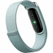 Фитнес-браслет Google Fitbit Air (Серо-голубой/Fog) в Стерлитамаке