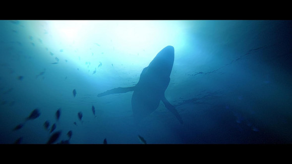 Игра Under The Waves [PS4, русские субтитры] в Стерлитамаке