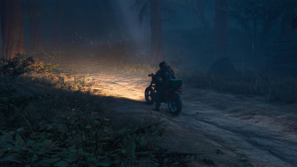 Игра Жизнь После (Days Gone) [PS4, русская версия] в Стерлитамаке